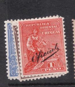 Uruguay SC O120-1, O124 MOG (7dne)