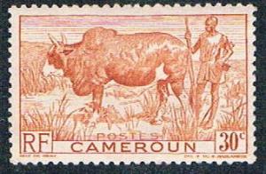 Cameroun 305 MLH Zebu and herder (BP5423)