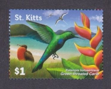 2015 St Kitts 1497 Birds
