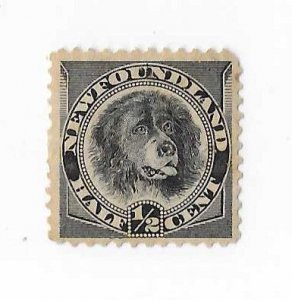 Newfoundland Sc #58 1/2c dog  OG VF