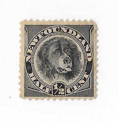 Newfoundland Sc #58 1/2c dog  OG VF