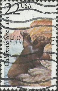 # 2329 USED CALIFORNIA SEA LION