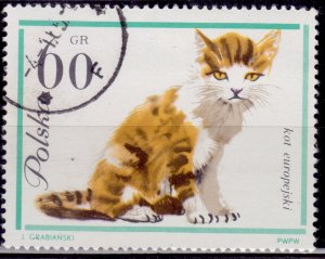 Poland 1964, European Cats, 60gr, sc#1219, cancelled