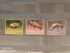 Malavi	fishes (F4)
