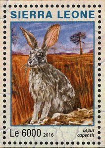 Park Ruaha Stamp Tanzania Lepus Capensis S/S MNH #7274-7277