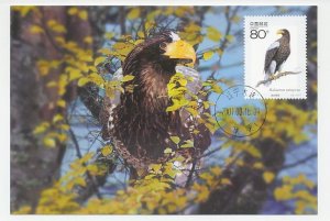 Maximum card China 2001 Bird of prey - Eagle