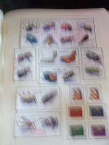 FUN Modern Used Collection