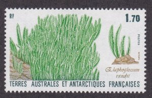 Fr. Southern Antarctic Terr., # 133, Elephant Grass, NH 1/2 Cat