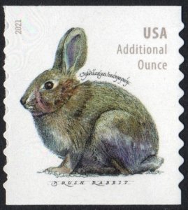 SC#5545 (Forever Additional Oz.) Brush Rabbit Coil Single (2021) SA
