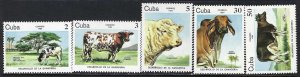 Cuba 2729-33 MNH COWS S467