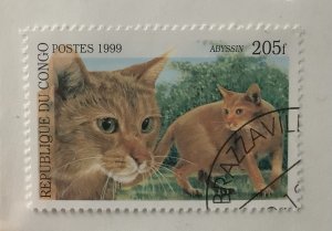 Congo 1999 Mi 1678 CTO - 205fr,  Domestic cats