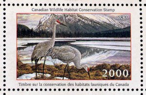 CANADA 2000 DUCK STAMP MINT IN FOLDER AS ISSUED SAND HILL CRANE by Ken Ferris