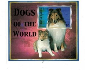 Turks and Caicos - 2000 - Dogs - Souvenir Sheet - MNH