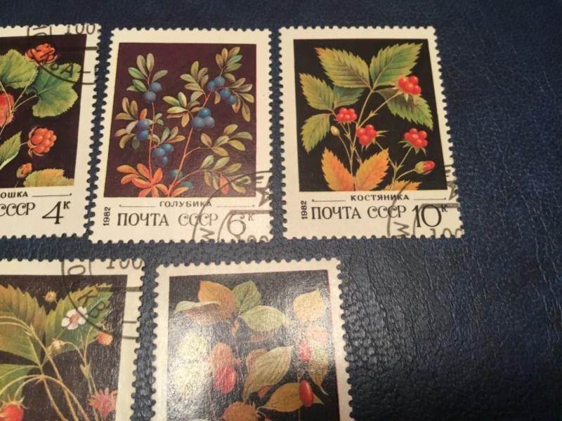 ICOLLECTZONE Russia #5023-27 Flower Set VF Used (Bk1-31)