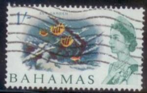 Bahamas 1965 SC#213 Used L394