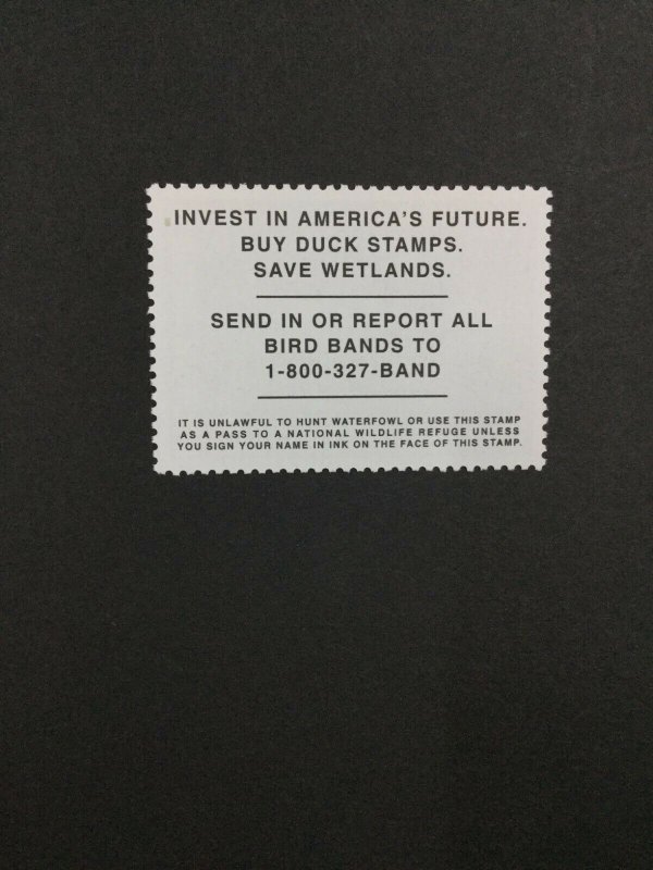 MOMEN: US STAMPS #RW74 DUCK MINT NH GEM LOT #41477