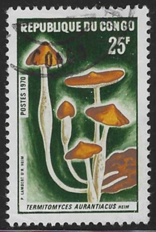 Congo People's Republic #211 (1970), postally used single, cat. $2.00