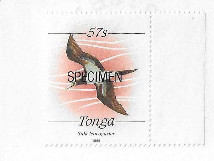 Tonga Sc #690a  57s Specimen  scarcer Type 2 NH VF