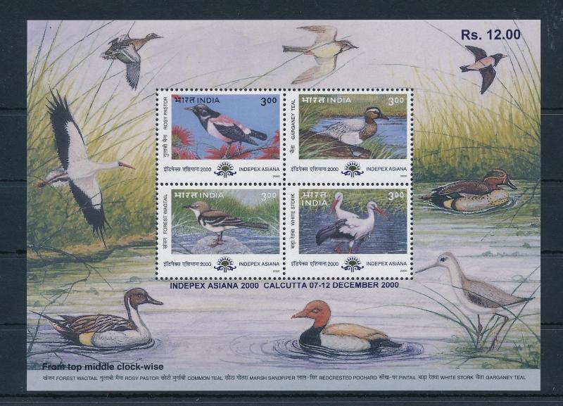 [38208] India 2000 Birds Vögel Oiseaux Ucelli   MNH Sheet