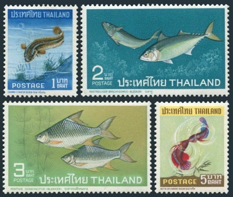 Thailand 464-467,MNH.Michel 480-483. Fish 1967.Shakehead,Pygmy mackerel,Barb,