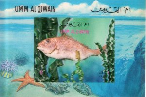 UMM AL QIWAIN 1972 Mi#Bl.57 FISHES-MARINE LIFE  TD Souvenir Sheet (1) MNH