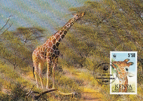 Kenya 1989 Maxicard Sc #494 5.50sh Reticulated giraffe WWF