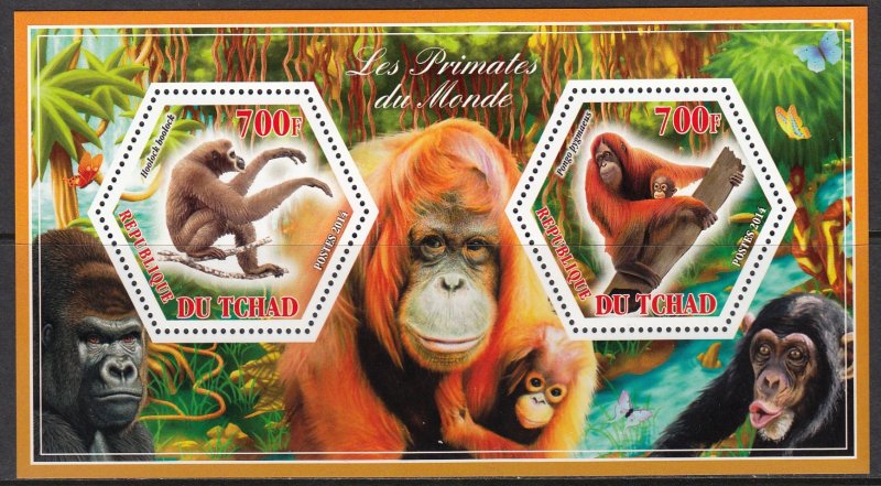 TCHAD CHAD 2014 WILD ANIMALS MONKEYS ANIMAUX SAUVAGES WILDE TIERE [#A262]