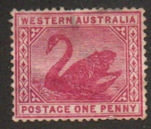 Western Australia 62 Wmk. 1 Mint no gum