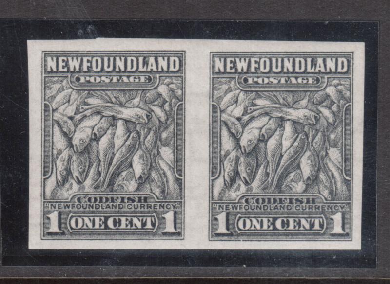 Newfoundland #184c Extra Fine Never Hinged Imperf Pair