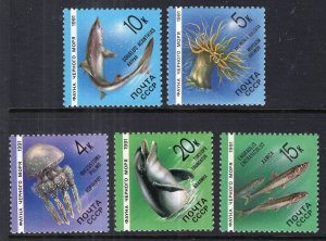 Russia & Soviet Union 5954-5958 Marine Life MNH VF