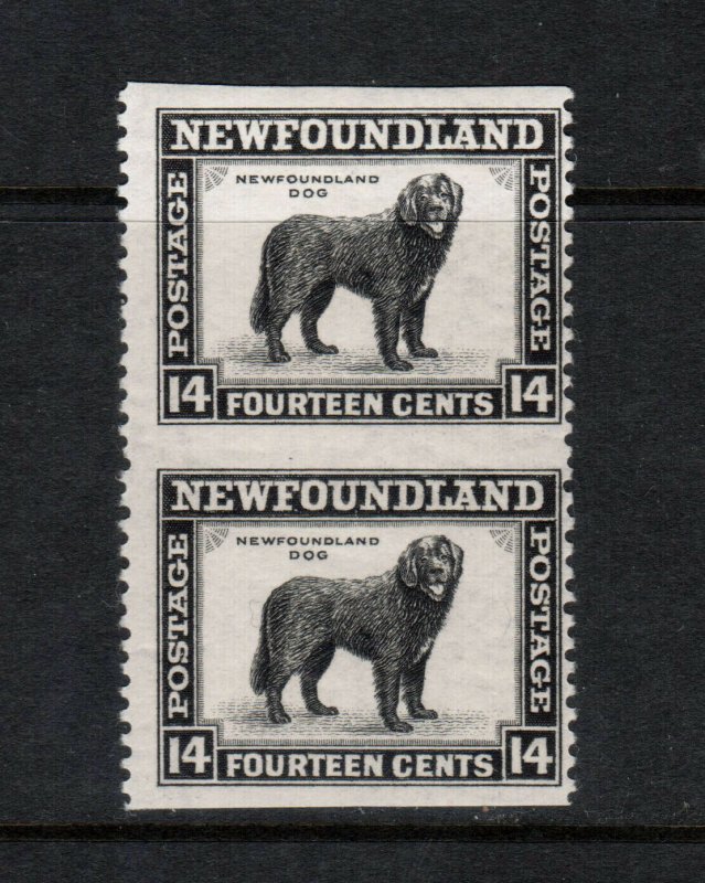 Newfoundland #261c Mint Fine Never Hinged Imperf Pair