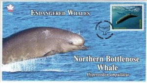 CA22-009, 2022, Endangered Whales, First Day of Issue, Pictorial Postmark, North