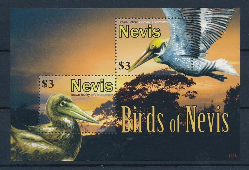 [35058] Nevis 2010 Birds Vögel Oiseaux Ucelli  Pelican Booby MNH Sheet