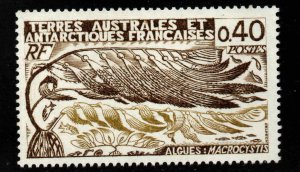 FSAT TAAF Scott 69 MNH**  Algae stamp