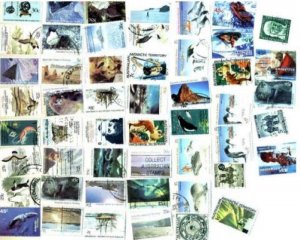 Australia Antarctic Stamp Collection - 50 Different Stamps