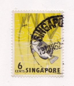 Singapore     56     used