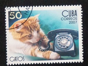 CUBA Sc# 4676  CATS  CATS CATS!  domestic feline pet 50c  2007 used cto