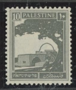 Palestine #73  Single