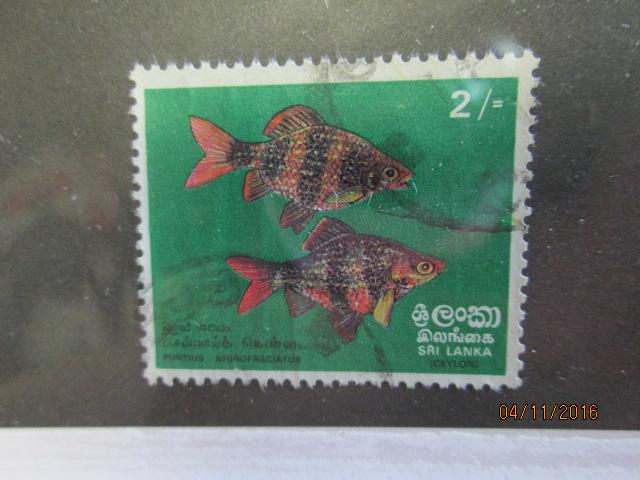 Sri Lanka #476 used