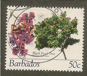 Barbados  Sc.  1082   Tree