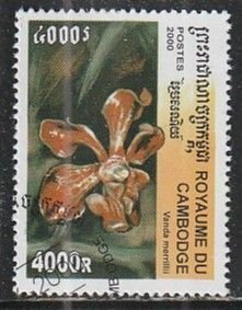 2000 Cambodia - Sc 1988 - used VF -  1 single - Orchids