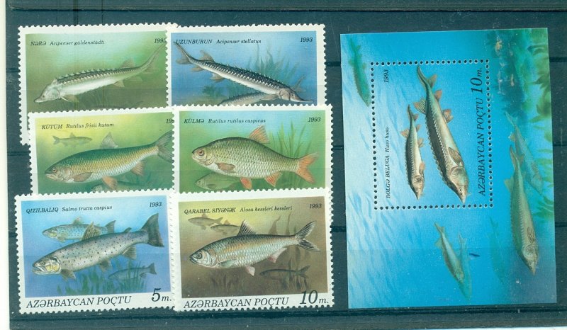 Azerbaijan - Sc# 386-92. 1993 Fish. MNH. $5.25.