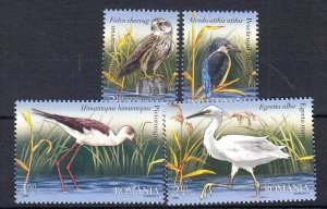 ROMANIA - 2009 BIRDS OF DANUBE DELTA - 4V MINT NH