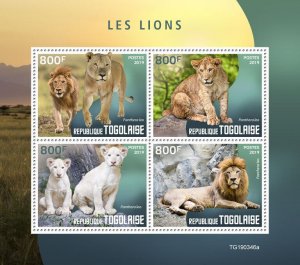 Togo 2019 MNH Wild Animals Stamps Lions Big Cats 4v M/S