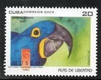 CUBA Sc# 4989  PARROTS birds 20c  2009  MNH mint