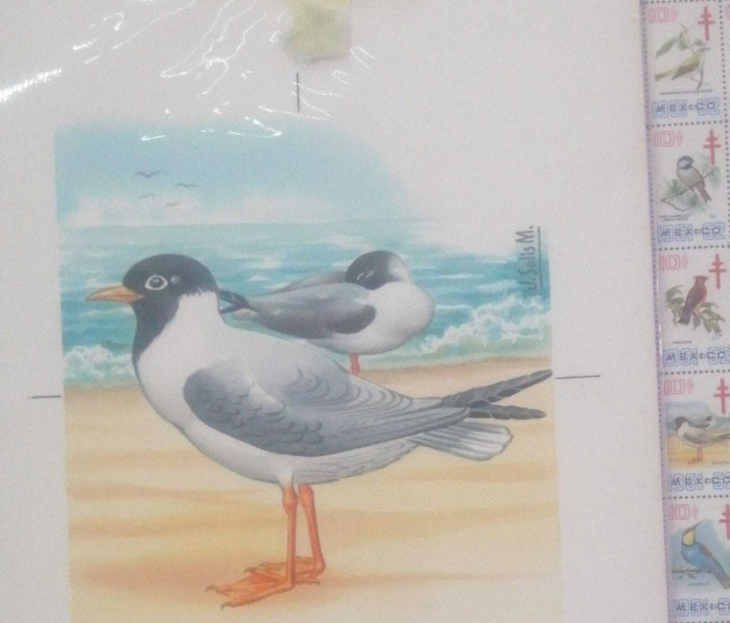 O) 1961 - 1962, MEXICO, ARTWORK, TUBERCULOSIS - TBC, SEAGULL- WARTER BIRD - LARI