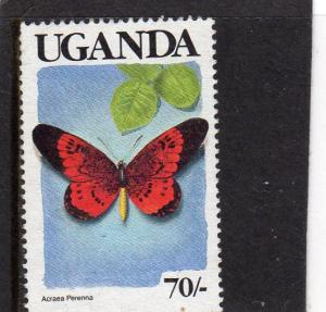 Uganda Butterflies used