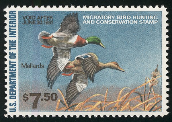 US #RW47 VF mint never hinged, post office fresh,  NICE STAMP!