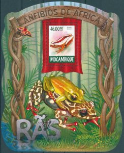 Mozambique 2015 MNH Amphibians Stamps African Frogs Frog 1v S/S I