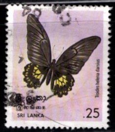 Sri Lanka #534 Butterflies - Used